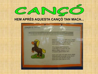 HEM APRÈS AQUESTA CANÇÓ TAN MACA...
 