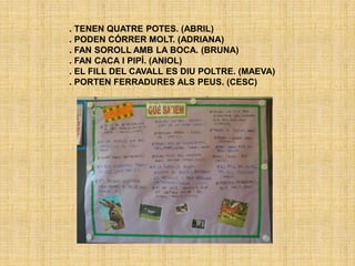 . TENEN QUATRE POTES. (ABRIL)
. PODEN CÓRRER MOLT. (ADRIANA)
. FAN SOROLL AMB LA BOCA. (BRUNA)
. FAN CACA I PIPÍ. (ANIOL)
. EL FILL DEL CAVALL ES DIU POLTRE. (MAEVA)
. PORTEN FERRADURES ALS PEUS. (CESC)
 