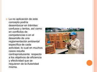 La no aplicación de este concepto podría desembocar en trámites confusos y lentos, así como en conflictos de competencias o en el desarrollo de una reglamentación ambiental específica de cada actividad, lo cual en muchos casos resulta contraproducente  respecto a los objetivos de eficiencia y efectividad que se requieren de la Autoridad misma.