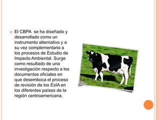 El CBPA  se ha diseñado y desarrollado como un instrumento alternativo y a su vez complementario a los procesos de Estudio de Impacto Ambiental. Surge como resultado de una investigación respecto a los documentos oficiales en que desemboca el proceso de revisión de los EsIA en los diferentes países de la región centroamericana. 