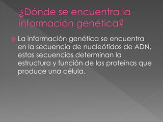  La información genética se encuentra
en la secuencia de nucleótidos de ADN,
estas secuencias determinan la
estructura y función de las proteínas que
produce una célula.
 