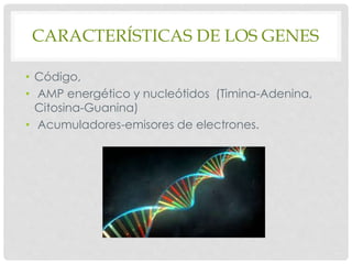 CARACTERÍSTICAS DE LOS GENES
• Código,
• AMP energético y nucleótidos (Timina-Adenina,
Citosina-Guanina)
• Acumuladores-emisores de electrones.
 