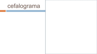 cefalograma
 