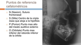 Puntos de referencia
cefalométricos
   N (Nasion). Sutura
    frontonasal
   S (Silla) Centro de la cripta
    ósea que aloja a la hipófisis
   P (Porion) Punto mas alto
    del meato auditivo externo
   O (Orbitale) Punto mas
    inferior del reborde inferior
    de la órbita
 