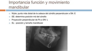 Importancia función y movimiento
mandibular
   Wylie: punto más distal de la cabeza del cóndilo perpendicular a SN: E
   SE: determina posición md del cóndilo
   Proyección perpendicular de Po a SN: L
   SL: posición y tamaño mandibular
 