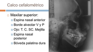 Calco cefalométrico

   Maxilar superior:
     Espina  nasal anterior
     Borde alveolar V y P

     Ojo: T. C. SC. Mejilla

     Espina nasal
      posterior
     Bóveda palatina dura
 