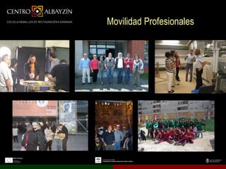 Movilidad Profesionales
 