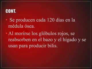 • Se producen cada 120 dias en la
  médula ósea.
• Al morirse los glóbulos rojos, se
  reabsorben en el bazo y el hígado y se
  usan para producir bilis.
 