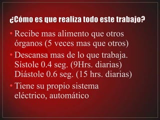 • Recibe mas alimento que otros
  órganos (5 veces mas que otros)
• Descansa mas de lo que trabaja.
  Sístole 0.4 seg. (9Hrs. diarias)
  Diástole 0.6 seg. (15 hrs. diarias)
• Tiene su propio sistema
  eléctrico, automático
 