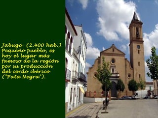 Jabugo (2.400 hab.) 
Pequeño pueblo, es 
hoy el lugar más 
famoso de la región 
por su producción 
del cerdo ibérico 
("Pata Negra"). 
 