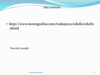 http://www.monografias.com/trabajos12/edufis/edufis.shtmlBIBLIOGRAFÍA.Buscador: google.14El cerebro humano.