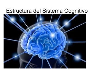 Estructura del Sistema Cognitivo 