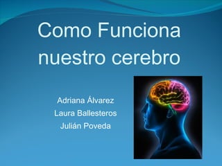 Como Funciona nuestro cerebro Adriana Álvarez Laura Ballesteros Julián Poveda 