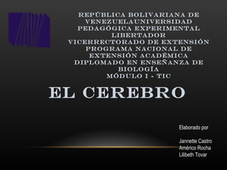 Elaborado por Jannette Castro Américo Rocha Lilibeth Tovar REPÚBLICA BOLIVARIANA DE VENEZUELAUNIVERSIDAD PEDAGÓGICA EXPERIMENTAL LIBERTADOR VICERRECTORADO DE EXTENSIÓN PROGRAMA NACIONAL DE EXTENSIÓN ACADÉMICA Diplomado en enseñanza de biología Módulo i - tic El cerebro 