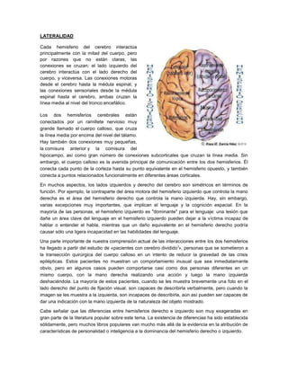 LATERALIDAD

Cada hemisferio del cerebro interactúa
principalmente con la mitad del cuerpo, pero
por razones que no están claras, las
conexiones se cruzan: el lado izquierdo del
cerebro interactúa con el lado derecho del
cuerpo, y viceversa. Las conexiones motoras
desde el cerebro hasta la médula espinal, y
las conexiones sensoriales desde la médula
espinal hasta el cerebro, ambas cruzan la
línea media al nivel del tronco encefálico.

Los dos hemisferios cerebrales están
conectados por un ramillete nervioso muy
grande llamado el cuerpo calloso, que cruza
la línea media por encima del nivel del tálamo.
Hay también dos conexiones muy pequeñas,
la comisura anterior y la comisura del
hipocampo, así como gran número de conexiones subcorticales que cruzan la línea media. Sin
embargo, el cuerpo calloso es la avenida principal de comunicación entre los dos hemisferios. Él
conecta cada punto de la corteza hasta su punto equivalente en el hemisferio opuesto, y también
conecta a puntos relacionados funcionalmente en diferentes áreas corticales.

En muchos aspectos, los lados izquierdos y derecho del cerebro son simétricos en términos de
función. Por ejemplo, la contraparte del área motora del hemisferio izquierdo que controla la mano
derecha es el área del hemisferio derecho que controla la mano izquierda. Hay, sin embargo,
varias excepciones muy importantes, que implican el lenguaje y la cognición espacial. En la
mayoría de las personas, el hemisferio izquierdo es "dominante" para el lenguaje: una lesión que
dañe un área clave del lenguaje en el hemisferio izquierdo pueden dejar a la víctima incapaz de
hablar o entender el habla, mientras que un daño equivalente en el hemisferio derecho podría
causar sólo una ligera incapacidad en las habilidades del lenguaje.

Una parte importante de nuestra comprensión actual de las interacciones entre los dos hemisferios
                                                                  )
ha llegado a partir del estudio de «pacientes con cerebro dividido », personas que se sometieron a
la transección quirúrgica del cuerpo calloso en un intento de reducir la gravedad de las crisis
epilépticas. Estos pacientes no muestran un comportamiento inusual que sea inmediatamente
obvio, pero en algunos casos pueden comportarse casi como dos personas diferentes en un
mismo cuerpo, con la mano derecha realizando una acción y luego la mano izquierda
deshaciéndola. La mayoría de estos pacientes, cuando se les muestra brevemente una foto en el
lado derecho del punto de fijación visual, son capaces de describirla verbalmente, pero cuando la
imagen se les muestra a la izquierda, son incapaces de describirla, aún así pueden ser capaces de
dar una indicación con la mano izquierda de la naturaleza del objeto mostrado.

Cabe señalar que las diferencias entre hemisferios derecho e izquierdo son muy exageradas en
gran parte de la literatura popular sobre este tema. La existencia de diferencias ha sido establecida
sólidamente, pero muchos libros populares van mucho más allá de la evidencia en la atribución de
características de personalidad o inteligencia a la dominancia del hemisferio derecho o izquierdo.
 