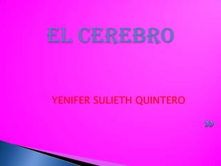 EL CEREBRO

YENIFER SULIETH QUINTERO
 
