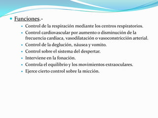  Funciones.-
       Control de la respiración mediante los centros respiratorios.
       Control cardiovascular por aumento o disminución de la
        frecuencia cardíaca, vasodilatación o vasoconstricción arterial.
       Control de la deglución, náusea y vomito.
       Control sobre el sistema del despertar.
       Interviene en la fonación.
       Controla el equilibrio y los movimientos extraoculares.
       Ejerce cierto control sobre la micción.
 