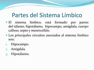 Partes del Sistema Límbico
 El   sistema límbico, está formado por partes
  del tálamo, hipotálamo, hipocampo, amígdala, cuerpo
  calloso, septo y mesencéfalo.
 Los principales circuitos asociados al sistema límbico
  son:
1. Hipocampo.
2. Amígdala.
3. Hipotálamo.
 