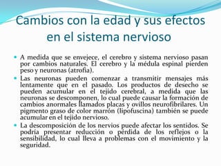 Cambios con la edad y sus efectos
    en el sistema nervioso
 A medida que se envejece, el cerebro y sistema nervioso pasan
  por cambios naturales. El cerebro y la médula espinal pierden
  peso y neuronas (atrofia).
 Las neuronas pueden comenzar a transmitir mensajes más
  lentamente que en el pasado. Los productos de desecho se
  pueden acumular en el tejido cerebral, a medida que las
  neuronas se descomponen, lo cual puede causar la formación de
  cambios anormales llamados placas y ovillos neurofibrilares. Un
  pigmento graso de color marrón (lipofuscina) también se puede
  acumular en el tejido nervioso.
 La descomposición de los nervios puede afectar los sentidos. Se
  podría presentar reducción o pérdida de los reflejos o la
  sensibilidad, lo cual lleva a problemas con el movimiento y la
  seguridad.
 