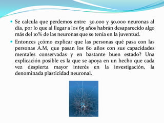  Se calcula que perdemos entre 30.000 y 50.000 neuronas al
  día, por lo que al llegar a los 65 años habrán desaparecido algo
  más del 10% de las neuronas que se tenía en la juventud.
 Entonces ¿cómo explicar que las personas qué pasa con las
  personas A.M, que pasan los 80 años con sus capacidades
  mentales conservadas y en bastante buen estado? Una
  explicación posible es la que se apoya en un hecho que cada
  vez despierta mayor interés en la investigación, la
  denominada plasticidad neuronal.
 