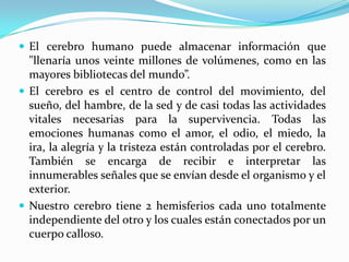  El cerebro humano puede almacenar información que
  "llenaría unos veinte millones de volúmenes, como en las
  mayores bibliotecas del mundo”.
 El cerebro es el centro de control del movimiento, del
  sueño, del hambre, de la sed y de casi todas las actividades
  vitales necesarias para la supervivencia. Todas las
  emociones humanas como el amor, el odio, el miedo, la
  ira, la alegría y la tristeza están controladas por el cerebro.
  También se encarga de recibir e interpretar las
  innumerables señales que se envían desde el organismo y el
  exterior.
 Nuestro cerebro tiene 2 hemisferios cada uno totalmente
  independiente del otro y los cuales están conectados por un
  cuerpo calloso.
 