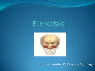 Int. Ps. Jennifer R. Palacios Aguinaga.
 