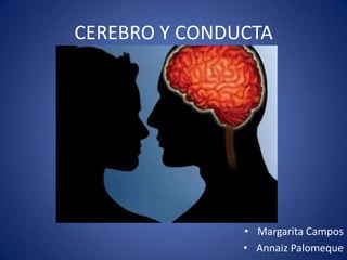 CEREBRO Y CONDUCTA

• Margarita Campos
• Annaiz Palomeque

 