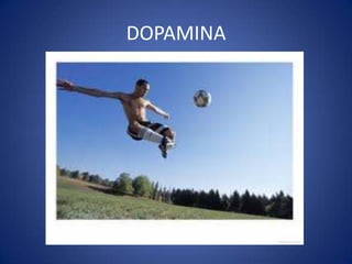 DOPAMINA

 