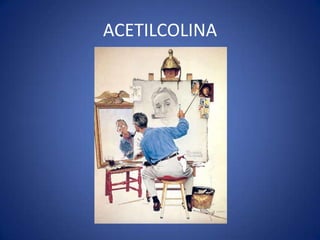 ACETILCOLINA

 
