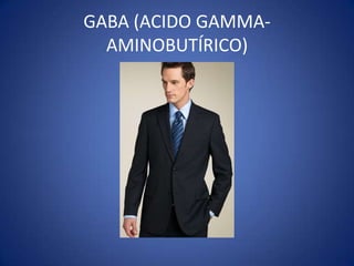 GABA (ACIDO GAMMAAMINOBUTÍRICO)

 
