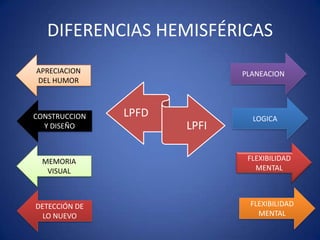 DIFERENCIAS HEMISFÉRICAS
APRECIACION
DEL HUMOR

CONSTRUCCION
Y DISEÑO

MEMORIA
VISUAL

DETECCIÓN DE
LO NUEVO

PLANEACION

LPFD
LPFI

LOGICA

FLEXIBILIDAD
MENTAL

FLEXIBILIDAD
MENTAL

 