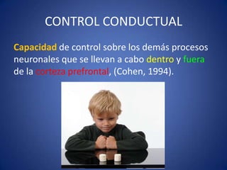 CONTROL CONDUCTUAL
Capacidad de control sobre los demás procesos
neuronales que se llevan a cabo dentro y fuera
de la corteza prefrontal, (Cohen, 1994).

 