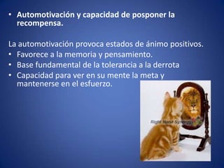 • Automotivación y capacidad de posponer la
recompensa.
La automotivación provoca estados de ánimo positivos.
• Favorece a la memoria y pensamiento.
• Base fundamental de la tolerancia a la derrota
• Capacidad para ver en su mente la meta y
mantenerse en el esfuerzo.

 