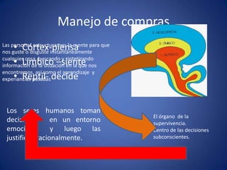 Manejo de compras
• Córtex-piensa
• Límbico –siente
• Reptil- decide

Las personas estructuramos la mente para que
nos guste o disguste instantáneamente
cualquier cosa, buscando y sintetizando
información de la situación en la que nos
encontremos, así como el aprendizaje y
experiancias pasadas

Los seres humanos toman
decisiones en un entorno
emocional y luego las
justifican racionalmente.

El órgano de la
supervivencia.
Centro de las decisiones
subconscientes.

 