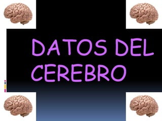 DATOS DEL
CEREBRO

 