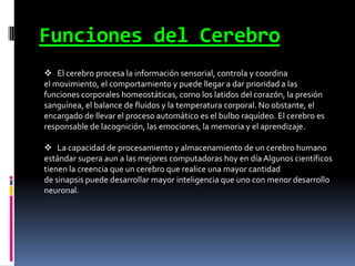 Funciones del Cerebro
 El cerebro procesa la información sensorial, controla y coordina
el movimiento, el comportamiento y puede llegar a dar prioridad a las
funciones corporales homeostáticas, como los latidos del corazón, la presión
sanguínea, el balance de fluidos y la temperatura corporal. No obstante, el
encargado de llevar el proceso automático es el bulbo raquídeo. El cerebro es
responsable de lacognición, las emociones, la memoria y el aprendizaje.

 La capacidad de procesamiento y almacenamiento de un cerebro humano
estándar supera aun a las mejores computadoras hoy en día Algunos científicos
tienen la creencia que un cerebro que realice una mayor cantidad
de sinapsis puede desarrollar mayor inteligencia que uno con menor desarrollo
neuronal.

 
