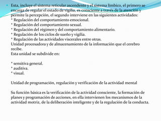  Esta, incluye el sistema reticular ascendente y el sistema límbico, el primero se
encarga de regular el estado de vigilia, es consciente a través de la atención y
permite la percepción, el segundo interviene en las siguientes actividades:
* Regulación del comportamiento emocional.
* Regulación del comportamiento sexual.
* Regulación del régimen y del comportamiento alimentario.
* Regulación de los ciclos de sueño y vigilia.
* Regulación de las actividades viscerales entre otras.
Unidad procesadora y de almacenamiento de la información que el cerebro
recibe.
Esta unidad se subdivide en:
* sensitiva general.
* auditiva.
* visual.
Unidad de programación, regulación y verificación de la actividad mental
Su función básica es la verificación de la actividad consciente, la formación de
planes y programación de acciones, en ella intervienen los mecanismos de la
actividad motriz, de la deliberación inteligente y de la regulación de la conducta.
 