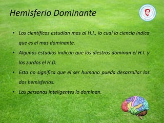 Hemisferio Dominante
• Los científicos estudian mas al H.I., lo cual la ciencia indica
que es el mas dominante.
• Algunos estudios indican que los diestros dominan el H.I. y
los zurdos el H.D.
• Esto no significa que el ser humano pueda desarrollar los
dos hemisferios.
• Las personas inteligentes lo dominan.
 