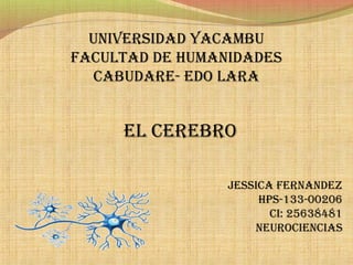 UNIVERSIDAD YACAMBU 
FACULTAD DE HUMANIDADES 
CABUDARE- EDO LARA 
EL CEREBRO 
JESSICA FERNANDEZ 
HPS-133-00206 
CI: 25638481 
NEUROCIENCIAS 
 