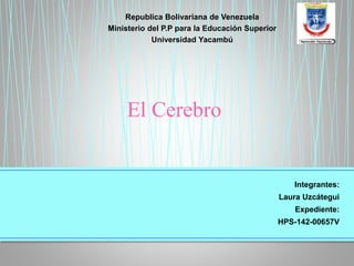 Republica Bolivariana de Venezuela
Ministerio del P.P para la Educación Superior
Universidad Yacambú
Integrantes:
Laura Uzcátegui
Expediente:
HPS-142-00657V
El Cerebro
 