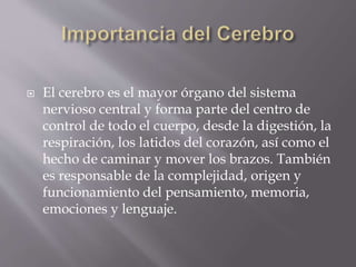  El cerebro es el mayor órgano del sistema
nervioso central y forma parte del centro de
control de todo el cuerpo, desde la digestión, la
respiración, los latidos del corazón, así como el
hecho de caminar y mover los brazos. También
es responsable de la complejidad, origen y
funcionamiento del pensamiento, memoria,
emociones y lenguaje.
 