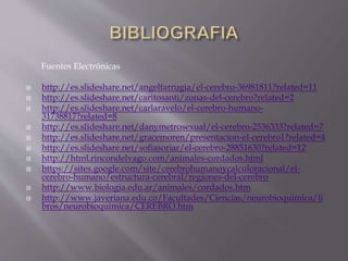 Fuentes Electrónicas
 http://es.slideshare.net/angelfarrugia/el-cerebro-36981811?related=11
 http://es.slideshare.net/caritosanti/zonas-del-cerebro?related=2
 http://es.slideshare.net/carlaravelo/el-cerebro-humano-
31738817?related=8
 http://es.slideshare.net/danymetrosexual/el-cerebro-2536333?related=7
 http://es.slideshare.net/gracemoren/presentacion-el-cerebro1?related=4
 http://es.slideshare.net/sofiasoriar/el-cerebro-28851630?related=12
 http://html.rincondelvago.com/animales-cordados.html
 https://sites.google.com/site/cerebrohumanoycalculoracional/el-
cerebro-humano/estructura-cerebral/regiones-del-cerebro
 http://www.biologia.edu.ar/animales/cordados.htm
 http://www.javeriana.edu.co/Facultades/Ciencias/neurobioquimica/li
bros/neurobioquimica/CEREBRO.htm
 