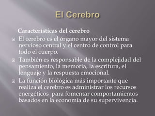 Características del cerebro
 El cerebro es el órgano mayor del sistema
nervioso central y el centro de control para
todo el cuerpo.
 También es responsable de la complejidad del
pensamiento, la memoria, la escritura, el
lenguaje y la respuesta emocional.
 La función biológica más importante que
realiza el cerebro es administrar los recursos
energéticos para fomentar comportamientos
basados en la economía de su supervivencia.
 