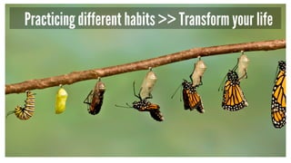 Practicing different habits >> Transform your life
 