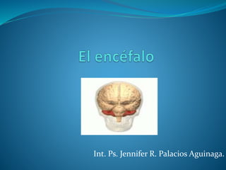 Int. Ps. Jennifer R. Palacios Aguinaga.
 