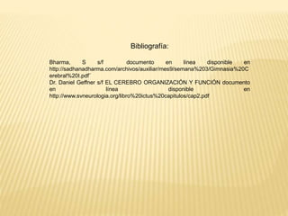Bibliografía:
Bharma, S s/f documento en línea disponible en
http://sadhanadharma.com/archivos/auxiliar/mes9/semana%203/Gimnasia%20C
erebral%20I.pdf¨
Dr. Daniel Geffner s/f EL CEREBRO ORGANIZACIÓN Y FUNCIÓN documento
en línea disponible en
http://www.svneurologia.org/libro%20ictus%20capitulos/cap2.pdf
 