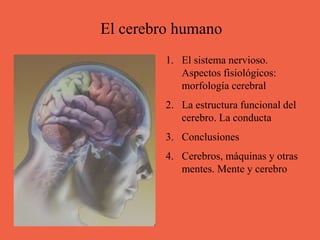 El cerebro humano
1. El sistema nervioso.
Aspectos fisiológicos:
morfología cerebral
2. La estructura funcional del
cerebro. La conducta
3. Conclusiones
4. Cerebros, máquinas y otras
mentes. Mente y cerebro
 