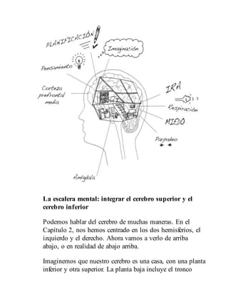 La escalera mental: integrar el cerebro superior y el
cerebro inferior
Podemos hablar del cerebro de muchas maneras. En el
Capítulo 2, nos hemos centrado en los dos hemisferios, el
izquierdo y el derecho. Ahora vamos a verlo de arriba
abajo, o en realidad de abajo arriba.
Imaginemos que nuestro cerebro es una casa, con una planta
inferior y otra superior. La planta baja incluye el tronco
 