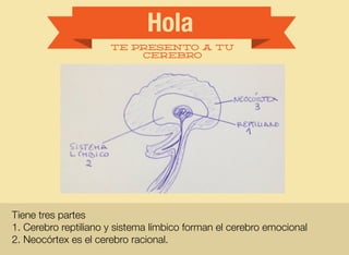 Hola
te presento a tu
cerebro
Tiene tres partes
1. Cerebro reptiliano y sistema límbico forman el cerebro emocional
2. Neocórtex es el cerebro racional.
 