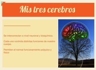 Mis tres cerebros
Se interconectan a nivel neuronal y bioquímico.



Cada uno controla distintas funciones de nuestro
cuerpo.



Permiten el normal funcionamiento psíquico y
físico
 